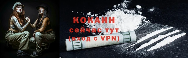 молекула духа Балахна
