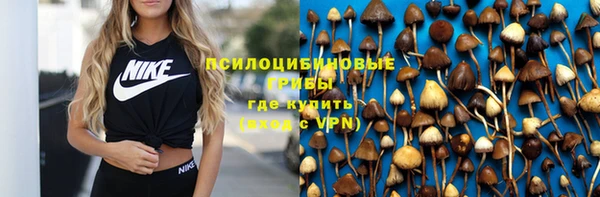 молекула духа Балахна