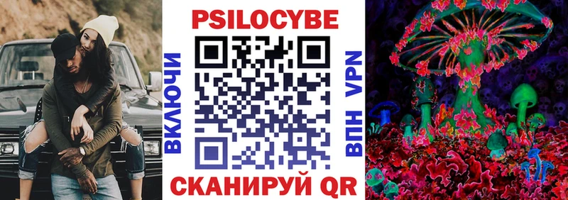 Псилоцибиновые грибы Psilocybe  Улан-Удэ 